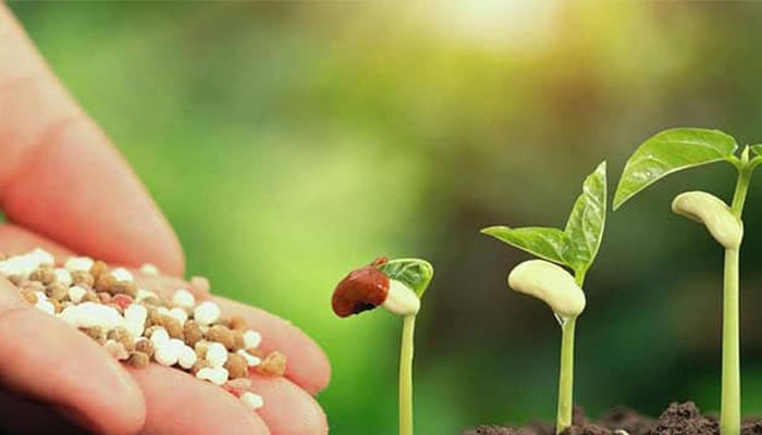 کاربرد اسید فسفریک در کشاورزی