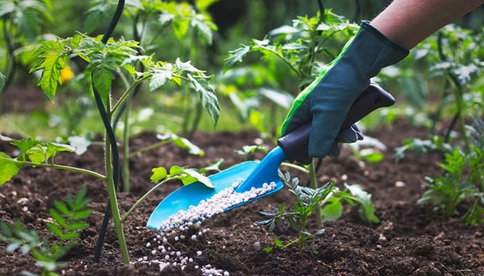 موارد مصرف کلرید آمونیوم