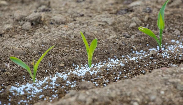 کاربرد کود سولفوریک اسید در کشاورزی