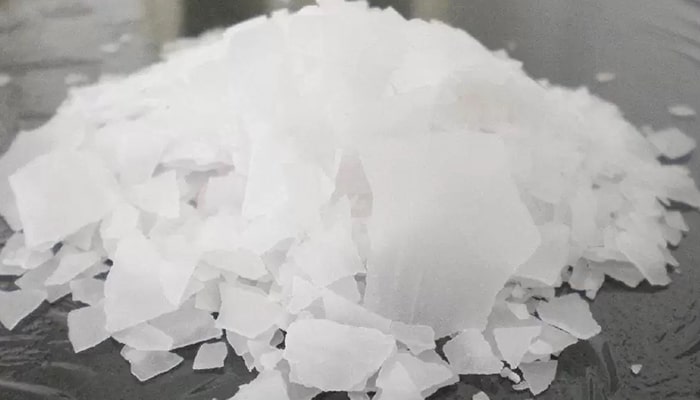 سود پرک پولک شکل