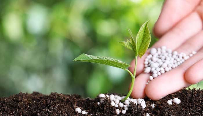 کاربرد آمونیاک در تولید کود