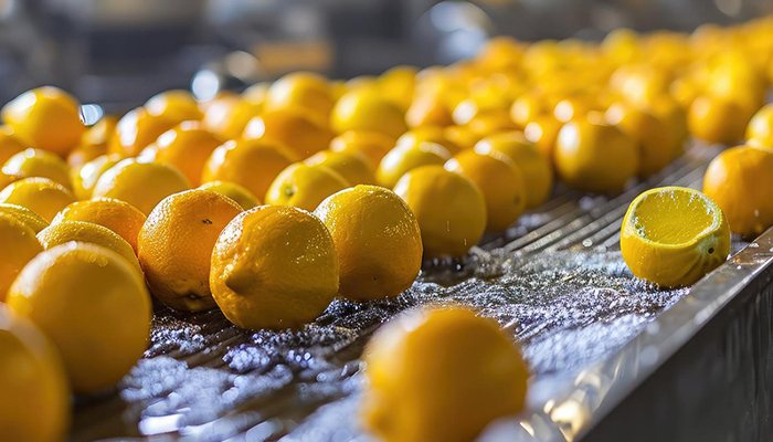 اسید سیتریک چگونه تولید می شود؟