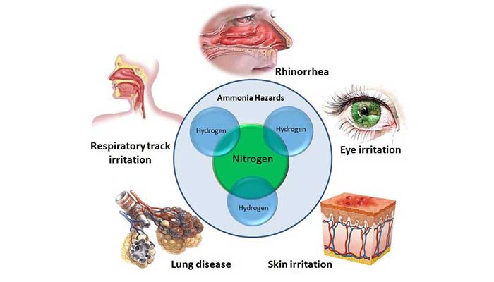 خطرات آمونیاک 